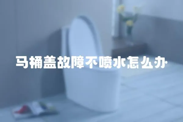 馬桶蓋故障不噴水怎么辦