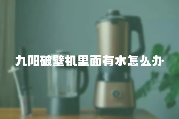 九陽破壁機里面有水怎么辦