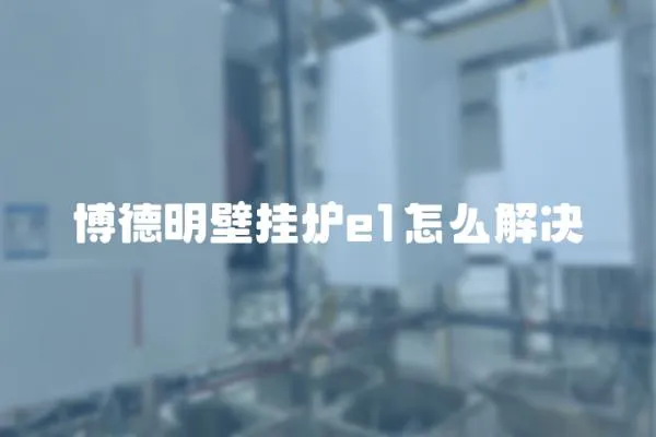 博德明壁掛爐e1怎么解決