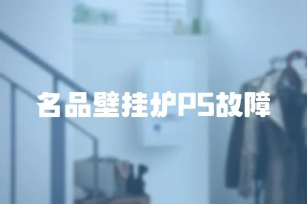 名品壁掛爐P5故障