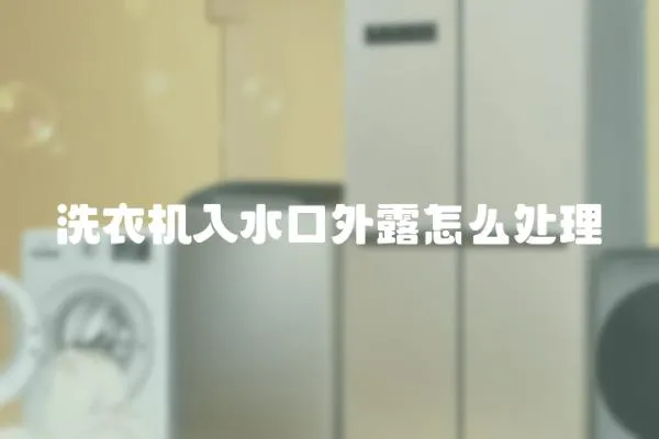 洗衣機入水口外露怎么處理