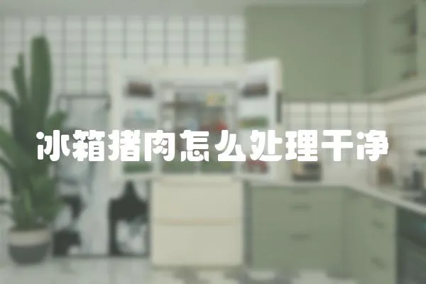 冰箱豬肉怎么處理干凈