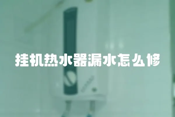 掛機(jī)熱水器漏水怎么修