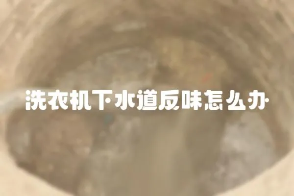 洗衣機下水道反味怎么辦