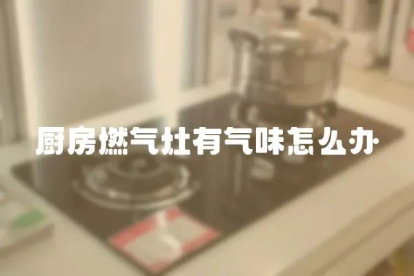 廚房燃氣灶有氣味怎么辦