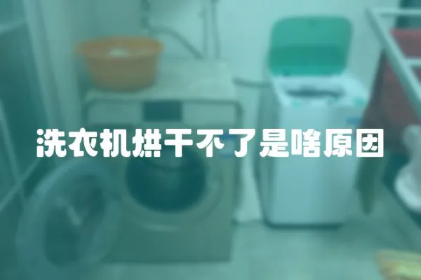 洗衣機烘干不了是啥原因