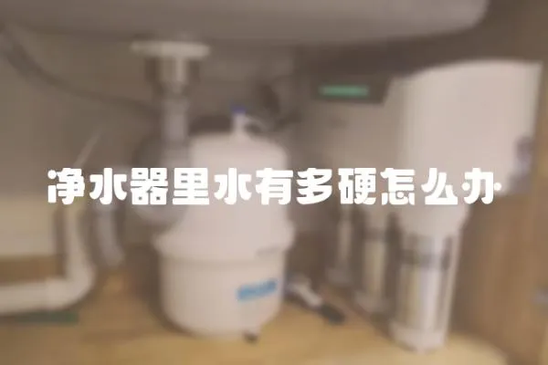 凈水器里水有多硬怎么辦