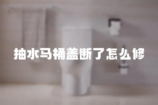 抽水馬桶蓋斷了怎么修
