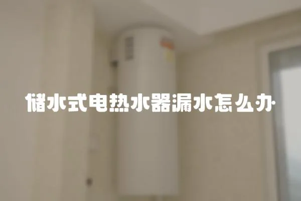 儲水式電熱水器漏水怎么辦