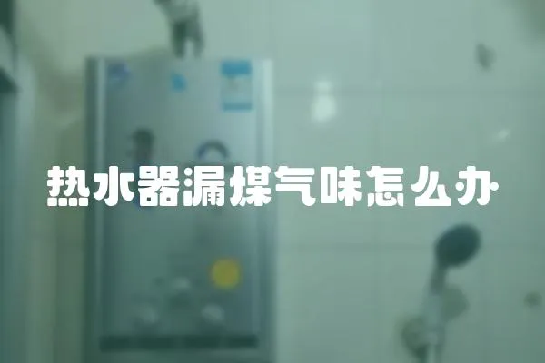 熱水器漏煤氣味怎么辦
