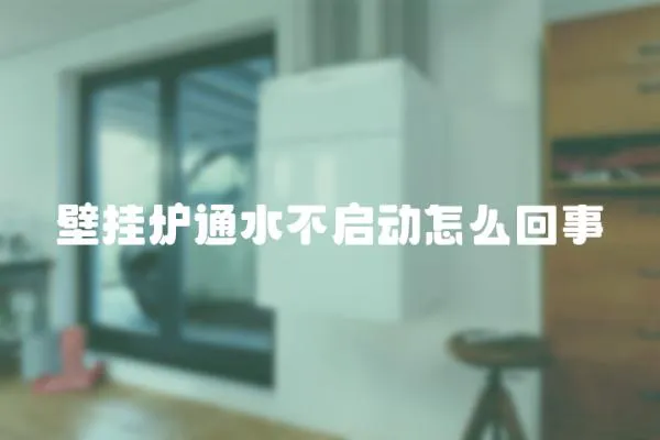 壁掛爐通水不啟動怎么回事