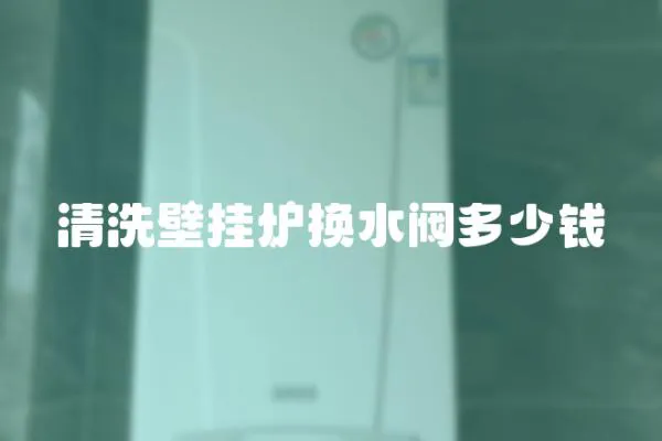 清洗壁掛爐換水閥多少錢