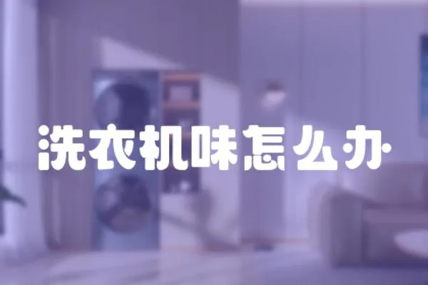 洗衣機味怎么辦