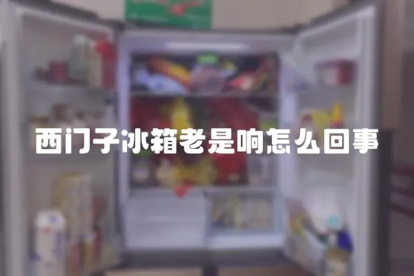 西門子冰箱老是響怎么回事