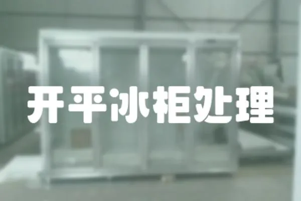 開平冰柜處理