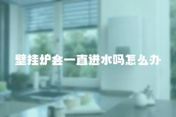 壁掛爐會一直進水嗎怎么辦