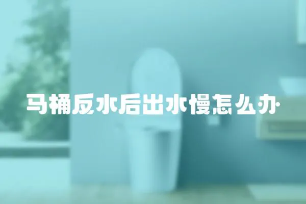 馬桶反水后出水慢怎么辦