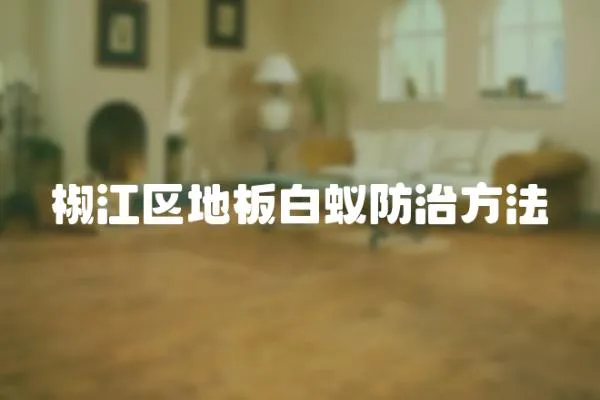 椒江區地板白蟻防治方法