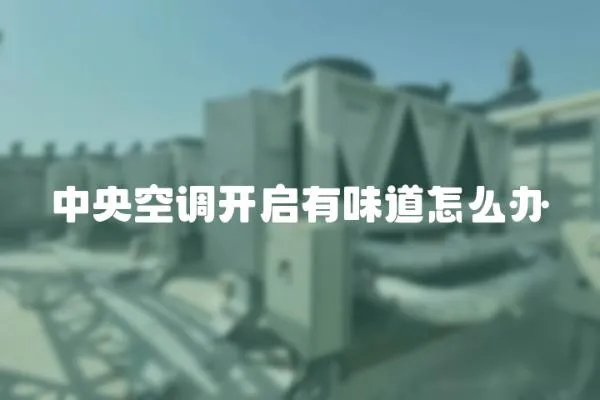 中央空調(diào)開(kāi)啟有味道怎么辦