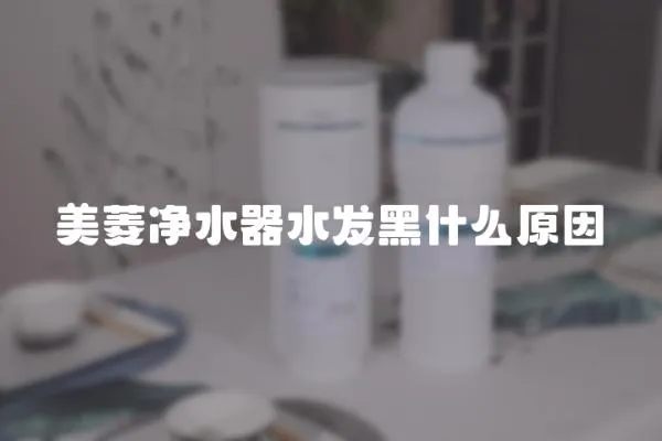 美菱凈水器水發黑什么原因