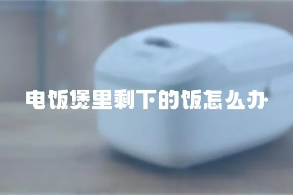 電飯煲里剩下的飯怎么辦