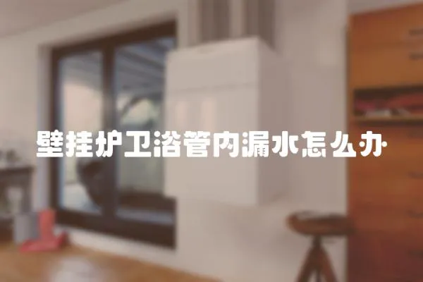 壁掛爐衛浴管內漏水怎么辦