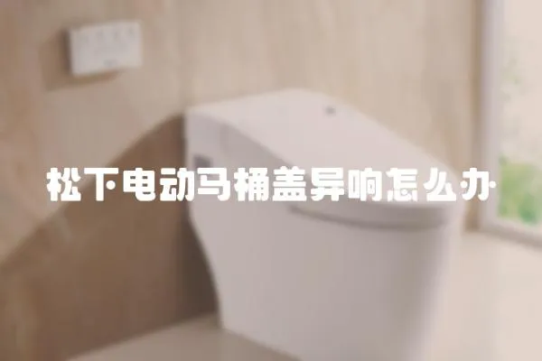 松下電動馬桶蓋異響怎么辦