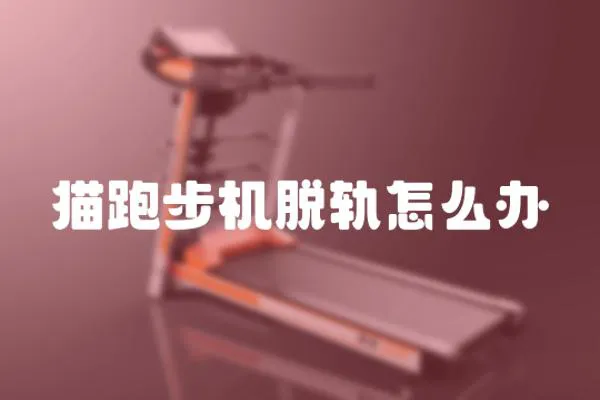 貓跑步機脫軌怎么辦