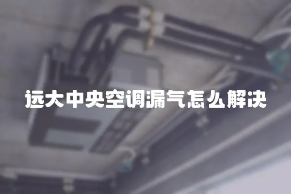 遠(yuǎn)大中央空調(diào)漏氣怎么解決