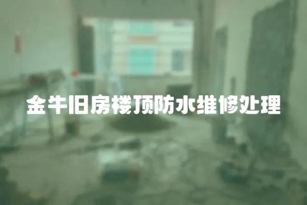 金牛舊房樓頂防水維修處理