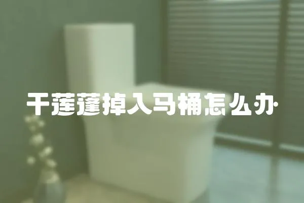 干蓮蓬掉入馬桶怎么辦