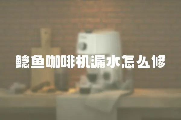 鯰魚咖啡機(jī)漏水怎么修