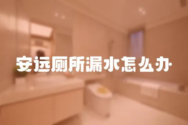 安遠廁所漏水怎么辦