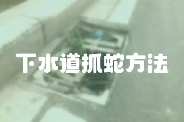 下水道抓蛇方法