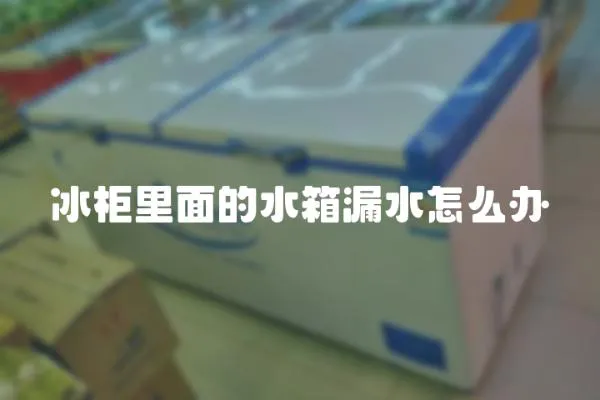 冰柜里面的水箱漏水怎么辦