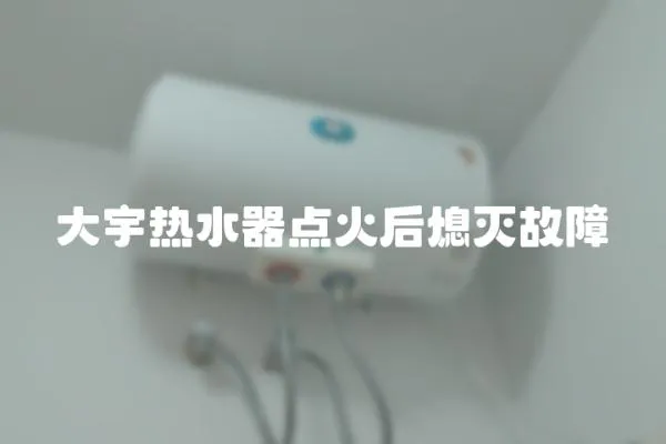 大宇熱水器點火后熄滅故障