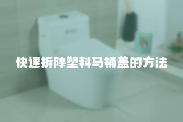 快速拆除塑料馬桶蓋的方法