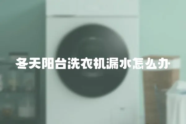 冬天陽臺洗衣機漏水怎么辦