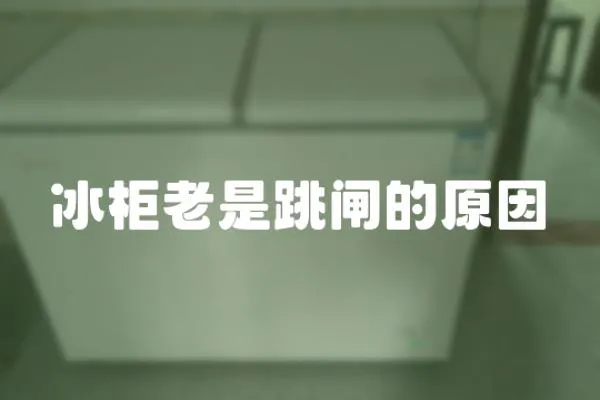 冰柜老是跳閘的原因