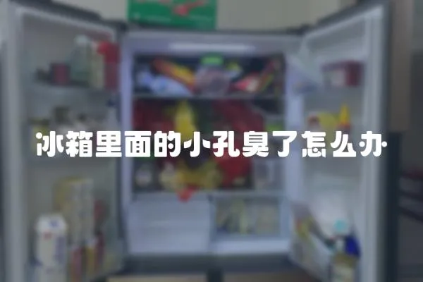 冰箱里面的小孔臭了怎么辦