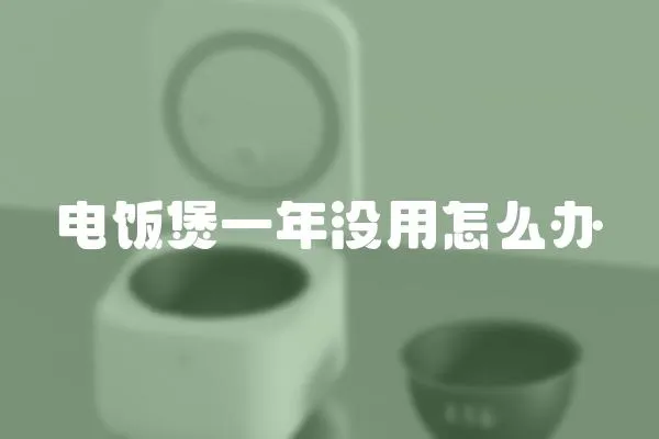 電飯煲一年沒用怎么辦