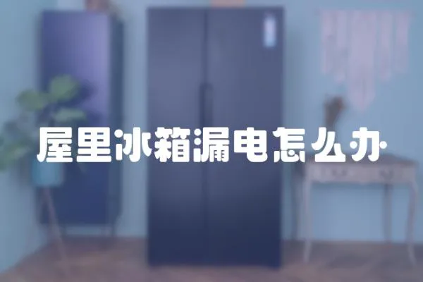 屋里冰箱漏電怎么辦