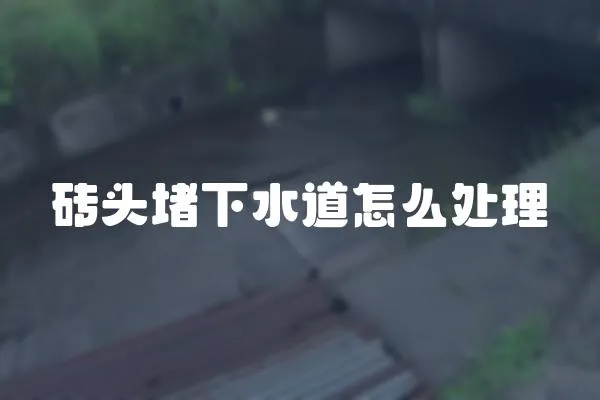 磚頭堵下水道怎么處理