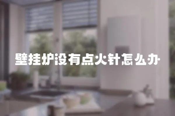 壁掛爐沒有點火針怎么辦