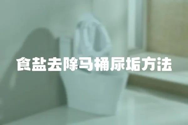 食鹽去除馬桶尿垢方法