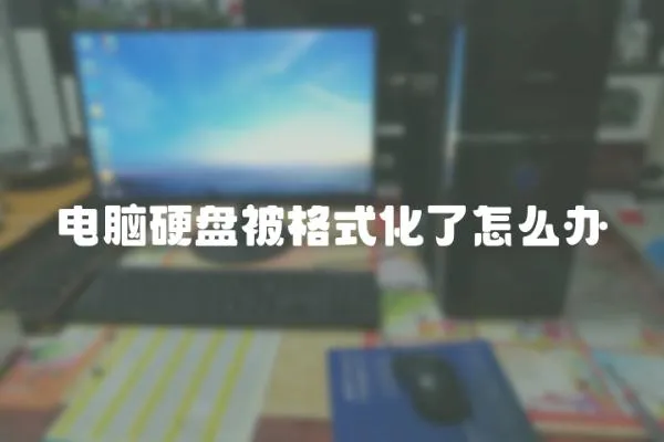 電腦硬盤被格式化了怎么辦