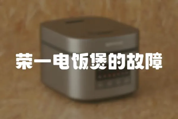 榮一電飯煲的故障