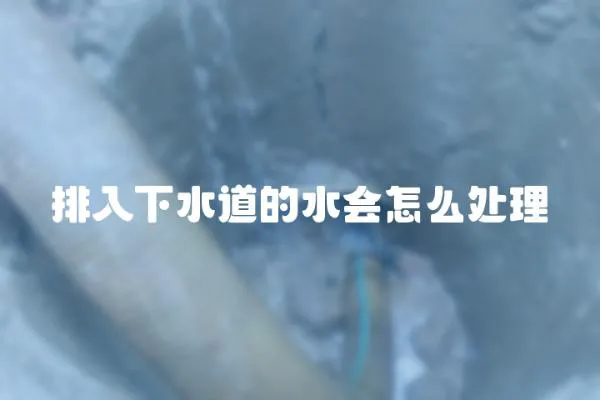 排入下水道的水會怎么處理