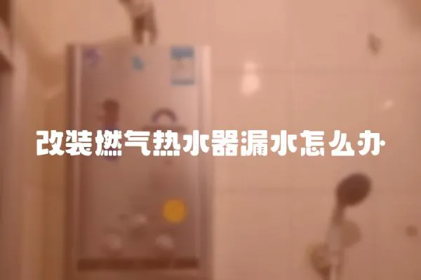 改裝燃?xì)鉄崴髀┧趺崔k