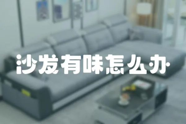 沙發(fā)有味怎么辦